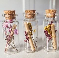 Glass Bottles